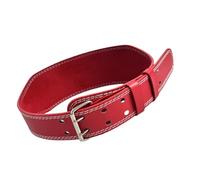 Cinturón ajustable de poliuretano para alivio de la espalda baja y corrección de posturas, cinturón de corsé cómodo a juego, rosso, L