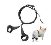Cinturón de cadera para perros - Cinturón de cadera transpirable para corrección de mascotas | Adicional para caminar, viajar, en casa, actividades de libre, soporte para muebles