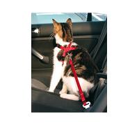 Cinturón de seguridad para gatos Trixie | 1 unidad