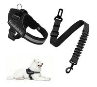 Cinturón de Seguridad para Perro Personalizable con Arnés - Kit Ajustable para Coche, Correa de Sujeción y Arnés Antiescape para Perros Pequeños y Medianos