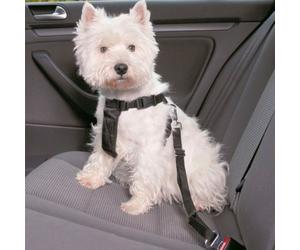 Cinturón de seguridad para perros - Tamaño: XS
