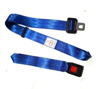 Cinturón de seguridad portátil de dos puntos, triciclo eléctrico, ambulancia, camilla para silla de ruedas, cama de hospital, seguridad para discapacitados, sin scew (azul, 6450)