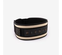 Cinturón lumbar Picsil (nueva edición)