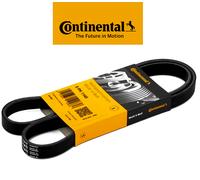 Cinturón Servicios Alternador para Fiat Grande Punto 500l 500x Mito 1.3 C/ Cond