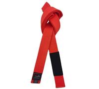 Cinturones brasileños de Jiu-Jitsu para jóvenes, sistema de grado BJJ menores de 16 años, ancho de 4 cm, color blanco, gris, amarillo, naranja y verde, Naranja, 260cm