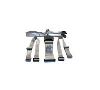 Cinturones Silla de paseo Otutto Inglesina Inglesina