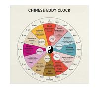 Circadian Rhythm Chart 24 Hour Body Clock Poster Holistic Health Wall Art Traditional Chinese Medicine(Unframed,16x16inch(40x40cm))