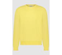 Circle of Trust Robin Sweat Sunshine Yellow Talla: S | Jerséis Outlet | Hombre | Amarillo