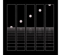 Circles Around The Sun Let It Wander (Vinyl) (Importación USA)