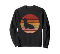 Círculo Retro Dachshund Sudadera