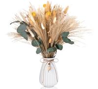 Cirulli Bouquet de Flores secas,decoración Bohemia.Decoración Natural para salón,Pampas secas Decoracion Grandes, Flores secas para Dormitorio y Mesa DIY, decoración para el hogar en Tonos Beige