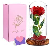 Cirulli Kit de Rosas,La Bella y La Bestia Rosa Encantada,Elegante Cúpula de Cristal con Base Pino Luces LED,Beauty and Regalos Magicos Decoración para Valentín Aniversario Bodas,Flores preservadas