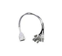 Cisco AIR-CAB002-D8-R= Adaptador/pasamuros SFP WLAN para Punto de Acceso Cisco Catalyst 9130 Gris 1 pieza