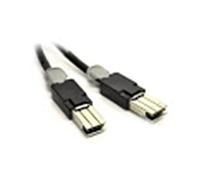 Cisco Cable para Bladeswitch de 0,5 Metros Catalyst Cab-Stk-E-0.5M=, utilizable con módulos de switches Catalyst 3110G, 3110X y 3012, garantía Limitada de por Vida Mejorada (Cab-Stk-E-0.5M=)