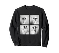 Cisnes divertidos con gafas de sol Cool Birds Humor Animales Meme Sudadera