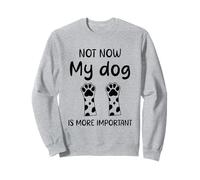 Cita de humor Dog Not Now My dog Is More Important Funny Sudadera