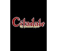 Citadale - The Awakened Spirit Steam Key GLOBAL