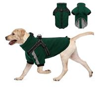 CITÉTOILE Abrigo cálido para Perros con arnés, Chaqueta Resistente al Viento para Clima frío, Ropa de Invierno para Perros con Cremalleras y puños Sueltos, Verde, L
