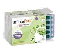 Citrato de Magnesio + Glicinato + AtaMg | Migrañas, Función Mental y Energía | 6 Sales Alta Absorción | Vitaminas B12, D y E | 60 Cápsulas | 1 mes | Animafort CronoMag
