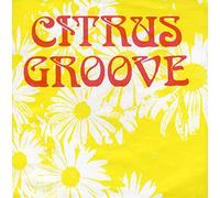 Citrus Groove - Hit The Ground - Honey-Gold Vinyl