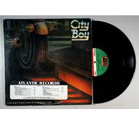 City Boy - The Day The Earth Caught Fire - Atlantic - SD 19249