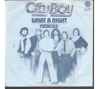 CITY BOY - WHAT A NIGHT 7 INCH (7" VINYL 45) DUTCH VERTIGO 1978