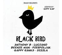 City Kay Pres. Various Black Bird Riddim (Lim.Ed.) (Vinyl) (Importación USA)