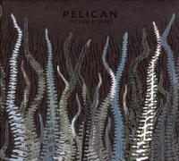 City Of Echoes by Pelican