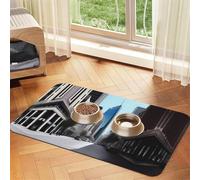 City Street - Alfombrilla de piel absorbente antideslizante para mascotas, 40 x 60 cm, de secado rápido, impermeable, lavable