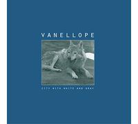 City With White and Gray