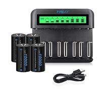 CITYORK Cargador de batería universal LCD, para baterías 8 AA/AAA o 4 C/D, canal de carga independiente por cargador rápido, con 4 pilas D de 10000 mAh