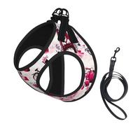 Cityscape Paris - Arnés para perro, diseño de la Torre Eiffel de Francia, 2 hebillas, chaleco para perro, clip frontal para correa sin tirones, para perros pequeños y medianos