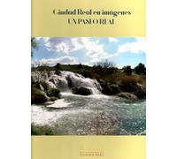 Ciudad real en imágenes. Un paseo real (DIPUTACION DE CIUDAD REAL)