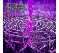 Civerous Maze Envy (CD) Album (Importación USA)