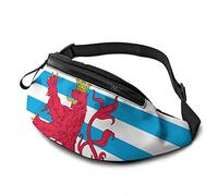 Civil Ensign of Luxemburg - Riñonera con correa ajustable para hombre, mujer, deportes al aire libre, correr, gimnasio, viajes, Alférez Civil de Luxemburgo, Talla única, moda