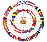 CIYIN Bandera de Palillos, 100 Palillos de Dientes con Bandera, Estampados de Doble Cara, ara Cócteles Alimentos Tartas Fruta Eventos Deportivos