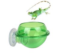 CIYODO 1 Comedero De Agua para Reptiles Plato De Agua Y Comida para Lagartos Cuenco Colgante para Reptiles Plato De Agua para Lagartos Accesorios para Dragones Barbudos Comedero con