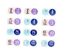 CIYODO 24piezas Calcomanías De para Bebés Diseño Floral Adhesivos para Fotografía De Crecimiento Infantil Pegatinas para Momentos Especiales del Primer Año