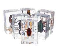 CIYODO Colección de Insectos en Resina 6 Piezas, Preservación Científica y Decoración Elegante para Escritorio y Hogar, Adecuado para Educación y Coleccionistas