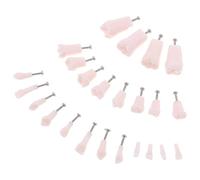 CIYODO Modelo de Diente Tipodonto 24 Dientes Permanentes Completos Extraíbles Tornillos Material Transparente Cristalino para Formación Odontológica y Práctica Educativa Profesional