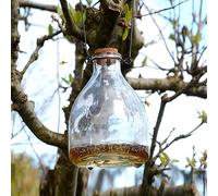 CKB LTD Botella de Cristal Tradicional para Colgar, diseño de cacerolas de Miel, Small