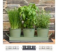 CKB LTD Juego de macetas metálicas para hierbas con bandeja de goteo, tradicional para interiores, alféizar de ventana, macetas coloridas para cocina