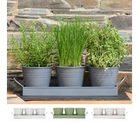 CKB LTD Maceta para Hierbas Plantas de Interior Bandeja Lote de 3 Crecer Hierbas Frescas en casa jardineras alféizar Cocina para albahaca Menta perejil Flores Metal (Gris carbón)