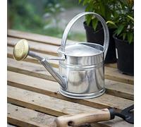 CKB LTD Regadera de 1,5 L de acero galvanizado para exteriores, con rosa de latón, para jardines grandes y pequeños, flores y plantas, resistente, antioxidante (1,5 litros)