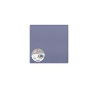 Clairefontaine 11129 C Pack de 25 Sobres Pollen 16 x 16 cm, 210 g/m² Forget Me Not
