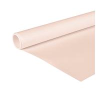 Clairefontaine 195754C - Rollo de papel kraft (65 g, 10 x 0, 70 m), color melocotón