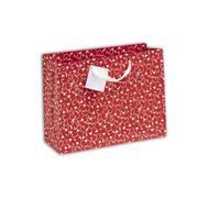 Clairefontaine 212870Cpack - Lote de 5 bolsas de regalo premium - Formato de compras, 32 x 13 x 24,5 cm, 170 g, diseño de corazones blancos, ideal para: juegos de sociedad, rompecabezas, ropa