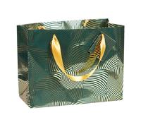 Clairefontaine 212915C - Premium sac shopping géo or/vert 32x13x24,5 cm - Paquet de 5
