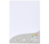 Clairefontaine 24239C - Un étui de 25 feuilles Pollen 21x29,7 cm 210g, Blanc