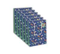 Clairefontaine 28782-2Cpack - Juego de 6 bolsas de regalo Excellia, formato ancho, 26,5 x 14 x 33 cm, 210 g, diseño de estrellas blancas sobre fondo azul, ideal para: juegos de mesa, rompecabezas,